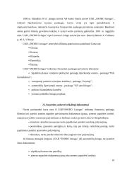 Palyginamoji mažmeninio (vartotojiško) lizingo analizė: UAB "Snoro lizingas" ir UAB "Ūkio banko lizingas" 9 puslapis