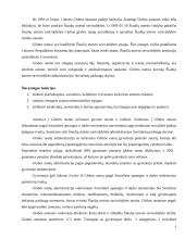 Praktikos analizė: Šiaulių miesto Globos namai 2 puslapis