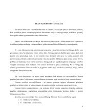 Praktikos analizė: Šiaulių miesto Globos namai 12 puslapis