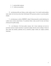 Praktikos analizė: Šiaulių miesto Globos namai 13 puslapis