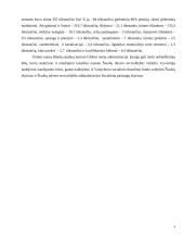 Praktikos analizė: Šiaulių miesto Globos namai 4 puslapis