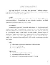 Praktikos analizė: Šiaulių miesto Globos namai 5 puslapis