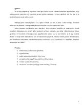 Praktikos analizė: Šiaulių miesto Globos namai 6 puslapis