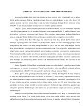 Praktikos analizė: Šiaulių miesto Globos namai 7 puslapis