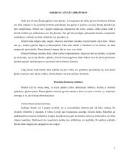 Praktikos analizė: Šiaulių miesto Globos namai 9 puslapis