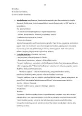 Pasaulinė finansų rinka, jos šiuolaikinės charakteristikos 13 puslapis