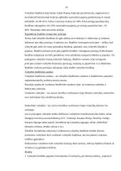 Pasaulinė finansų rinka, jos šiuolaikinės charakteristikos 14 puslapis