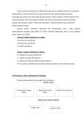 Pasaulinė finansų rinka, jos šiuolaikinės charakteristikos 18 puslapis