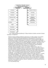 Pasaulio atlasai 18 puslapis
