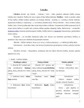 Specialybės kalbos kultūra - leksika, sintaksė, morfologija bei žodžių daryba 3 puslapis