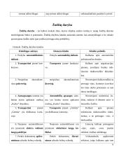 Specialybės kalbos kultūra - leksika, sintaksė, morfologija bei žodžių daryba 6 puslapis