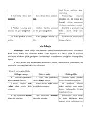 Specialybės kalbos kultūra - leksika, sintaksė, morfologija bei žodžių daryba 7 puslapis