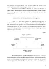Pasaulio bankas ir jo įtaka Lietuvos ūkio sistemai 11 puslapis