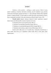Pasaulio bankas ir jo įtaka Lietuvos ūkio sistemai 3 puslapis
