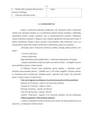 SSGG analizė: AB "Žemaitijos pienas" 15 puslapis