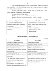 SSGG analizė: AB "Žemaitijos pienas" 16 puslapis