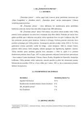 SSGG analizė: AB "Žemaitijos pienas" 4 puslapis