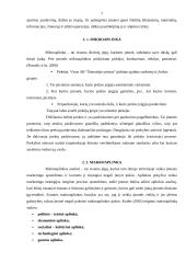 SSGG analizė: AB "Žemaitijos pienas" 7 puslapis