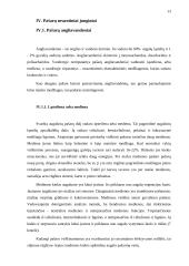 Pašaro maisto medžiagų fiziologinė reikšmė gyvuliui 13 puslapis