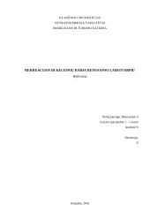Rekreacijos ir kelionių raida Renesanso laikotarpiu referatas