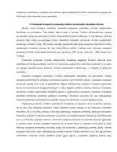 Transporto priemonių draudimas 13 puslapis