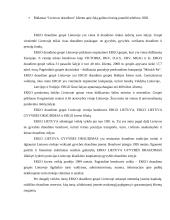 Transporto priemonių draudimas 17 puslapis