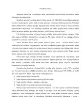 Transporto priemonių draudimas 3 puslapis