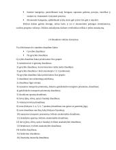 Transporto priemonių draudimas 8 puslapis