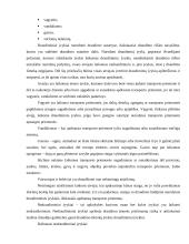 Transporto priemonių draudimas 10 puslapis