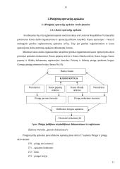 Pinigų ir piniginių operacijų apskaita 12 puslapis