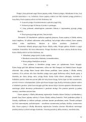 Pinigų ir piniginių operacijų apskaita 13 puslapis