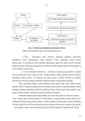 Pinigų ir piniginių operacijų apskaita 16 puslapis