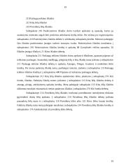 Pinigų ir piniginių operacijų apskaita 20 puslapis