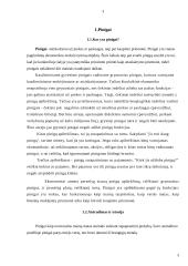 Pinigų ir piniginių operacijų apskaita 4 puslapis