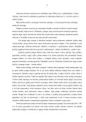 Pinigų ir piniginių operacijų apskaita 5 puslapis