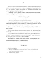 Pinigų ir piniginių operacijų apskaita 6 puslapis