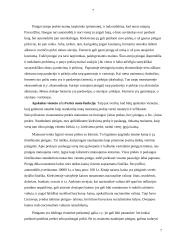 Pinigų ir piniginių operacijų apskaita 8 puslapis