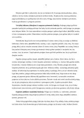 Pinigų ir piniginių operacijų apskaita 10 puslapis