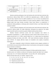 Trumpalaikių įsipareigojimų auditas: AB "Grigiškės" 16 puslapis