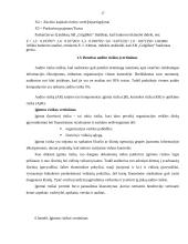 Trumpalaikių įsipareigojimų auditas: AB "Grigiškės" 17 puslapis