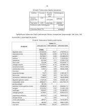 Trumpalaikių įsipareigojimų auditas: AB "Grigiškės" 20 puslapis