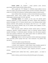 Trumpalaikių įsipareigojimų auditas: AB "Grigiškės" 4 puslapis