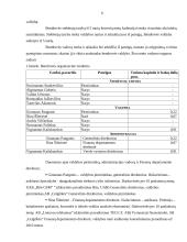 Trumpalaikių įsipareigojimų auditas: AB "Grigiškės" 6 puslapis