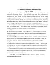 Trumpalaikių įsipareigojimų auditas: AB "Grigiškės" 7 puslapis