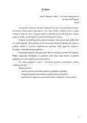 Popieriaus panaudojimas kultūros mokykloje 2 puslapis