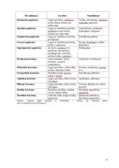 Popieriaus panaudojimas kultūros mokykloje 11 puslapis