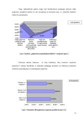 Popieriaus panaudojimas kultūros mokykloje 13 puslapis