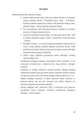 Popieriaus panaudojimas kultūros mokykloje 20 puslapis