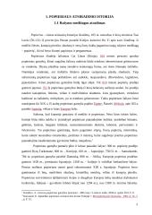 Popieriaus panaudojimas kultūros mokykloje 3 puslapis