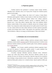 Popieriaus panaudojimas kultūros mokykloje 5 puslapis